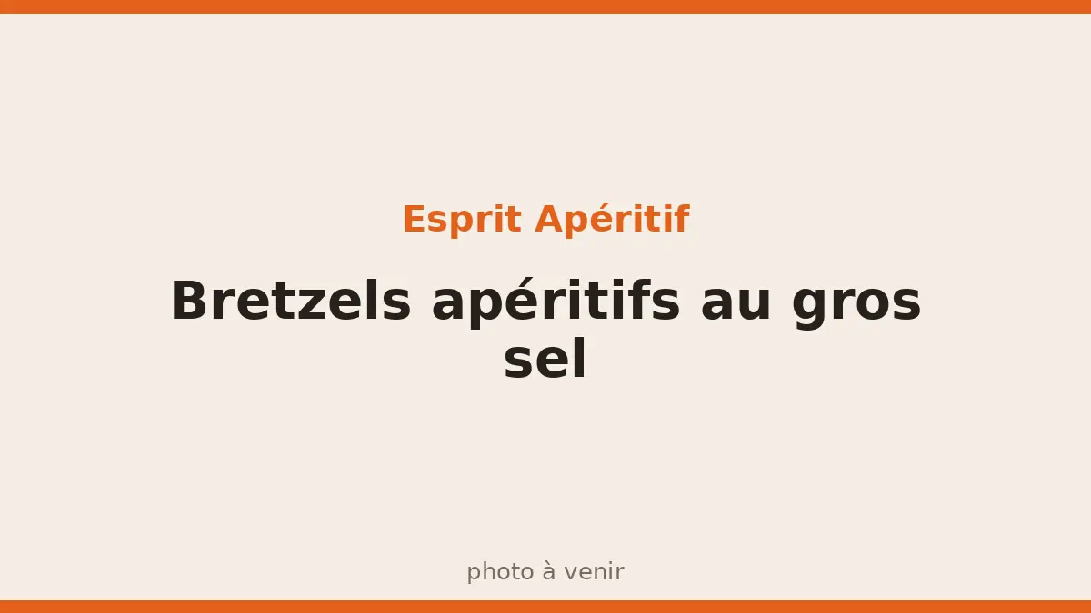 Bretzels apéritifs au gros sel