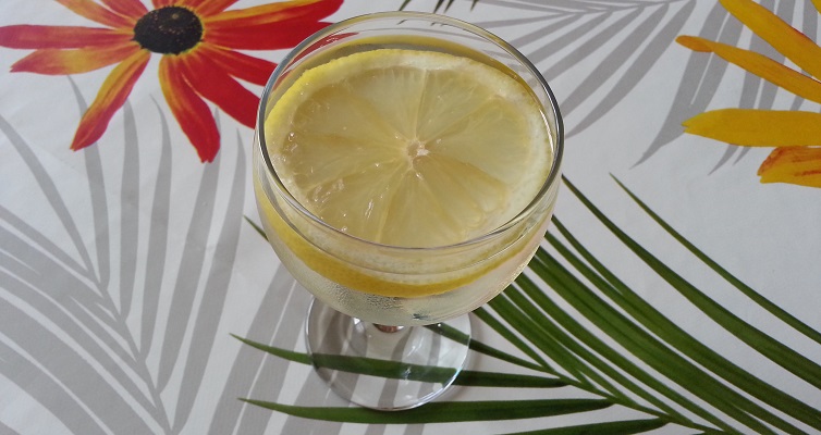 Martini-blanc-citron